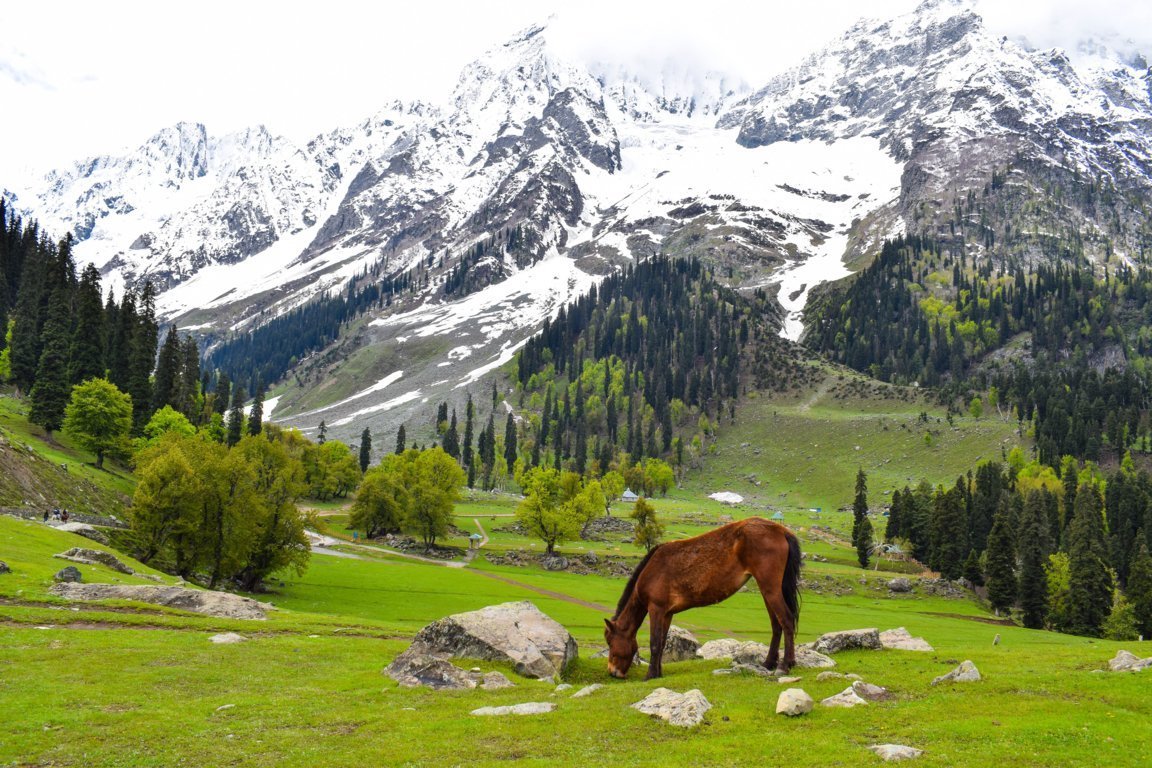 Pahalgam Kashmir