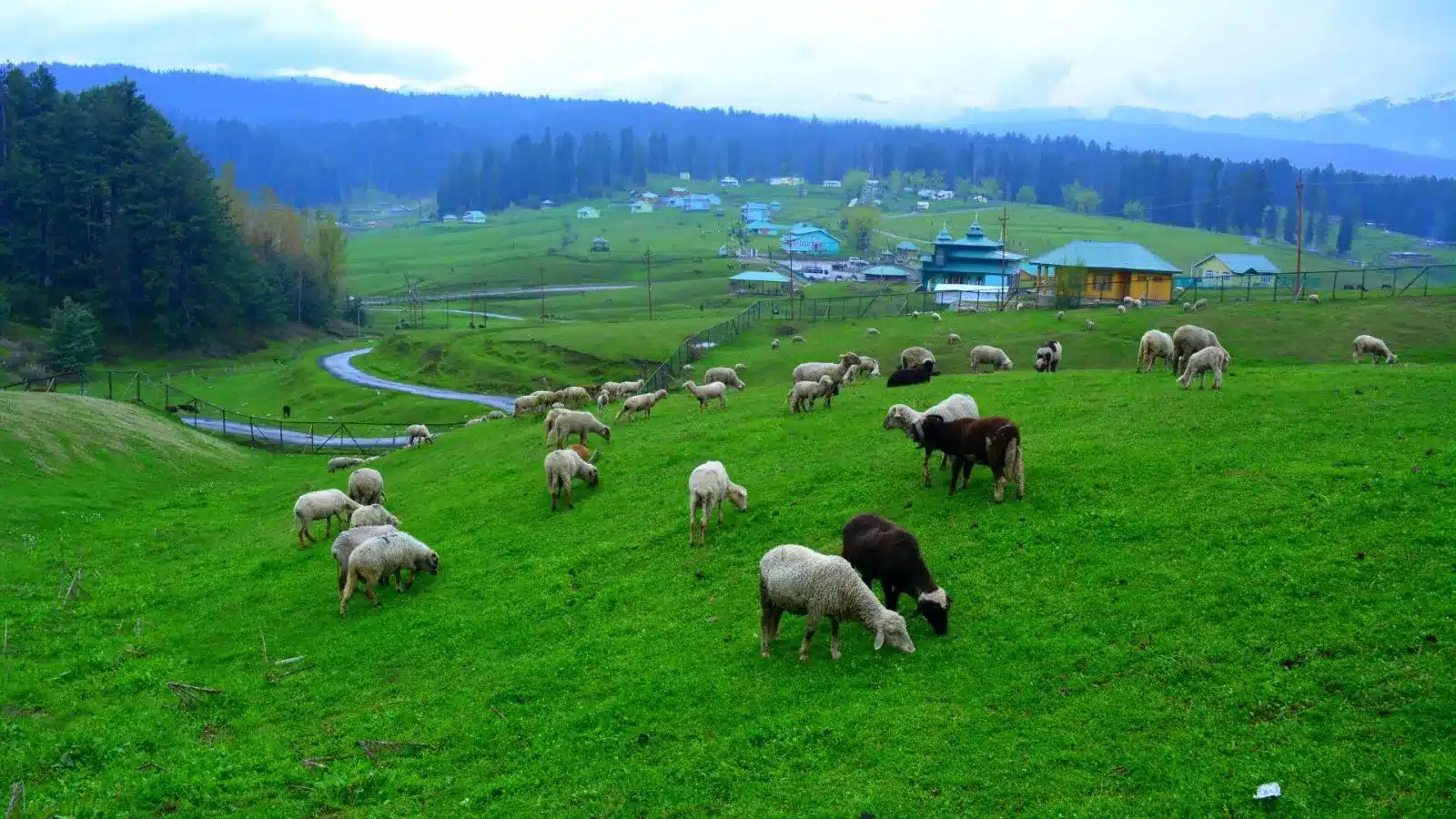 Yusmarg Kashmir
